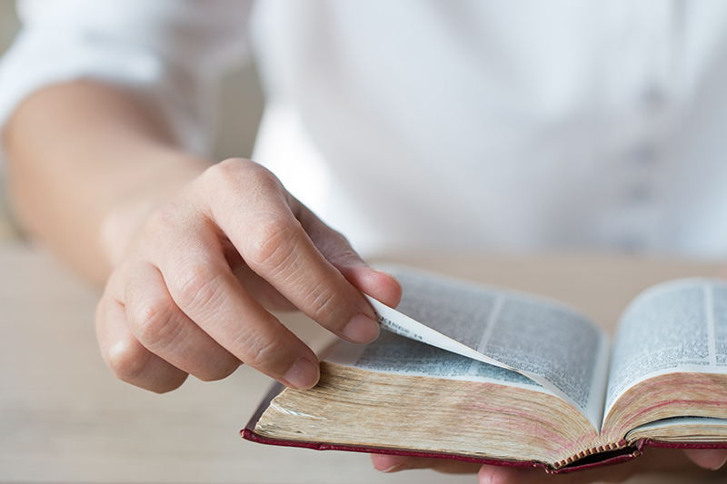 Person studying-bible